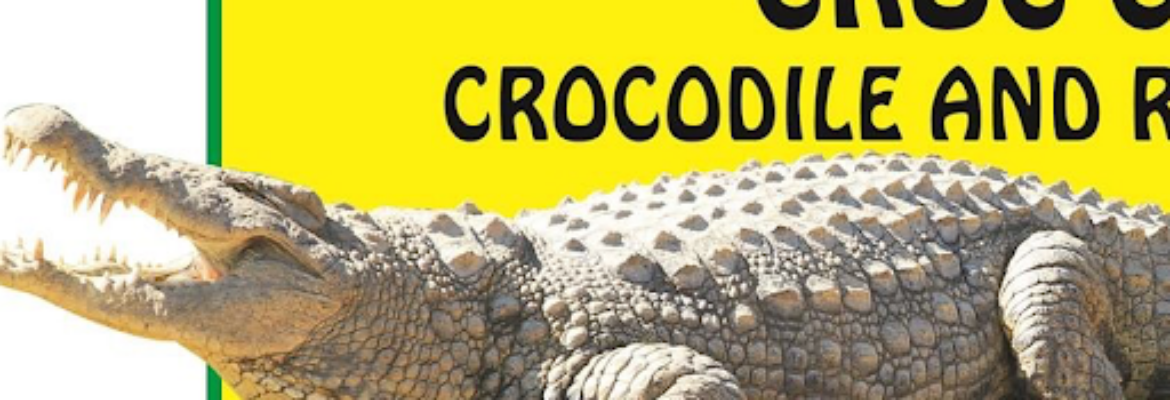 Croc City Crocodile & Reptile Park