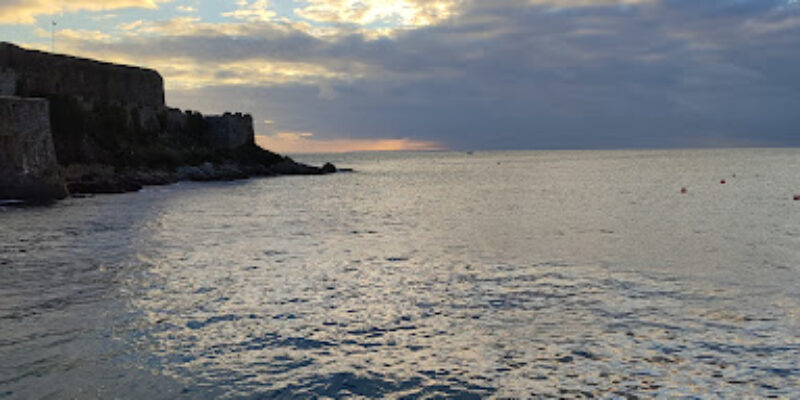 Donkey Divers Limited