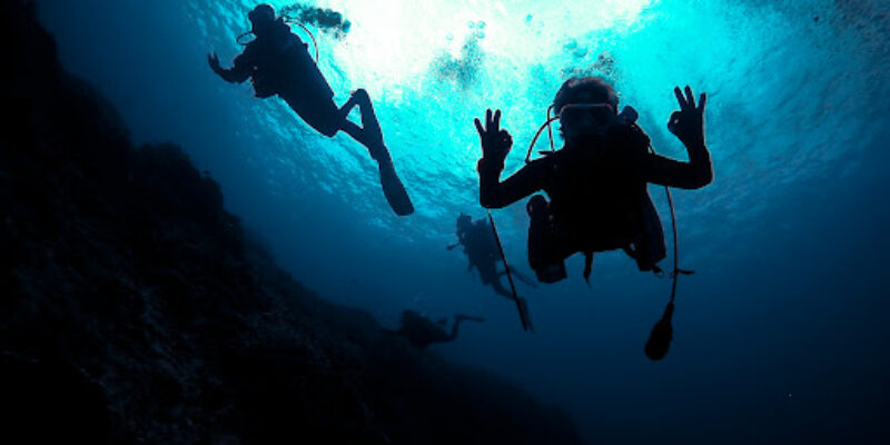 Planet Bali Dive