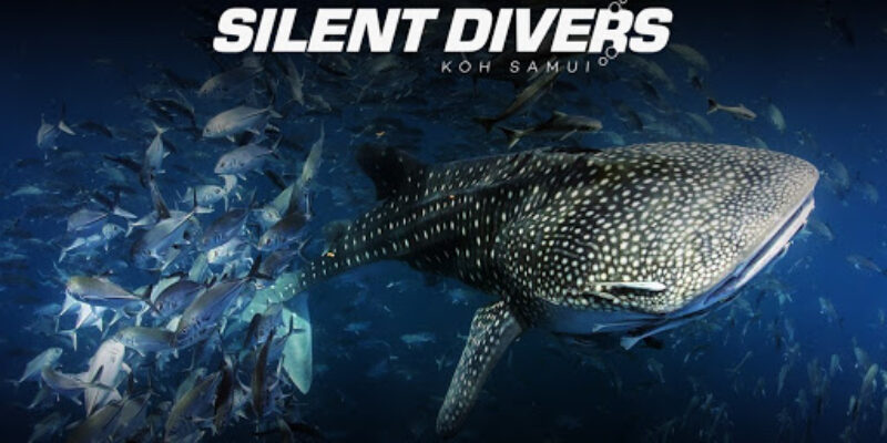 Silent Divers