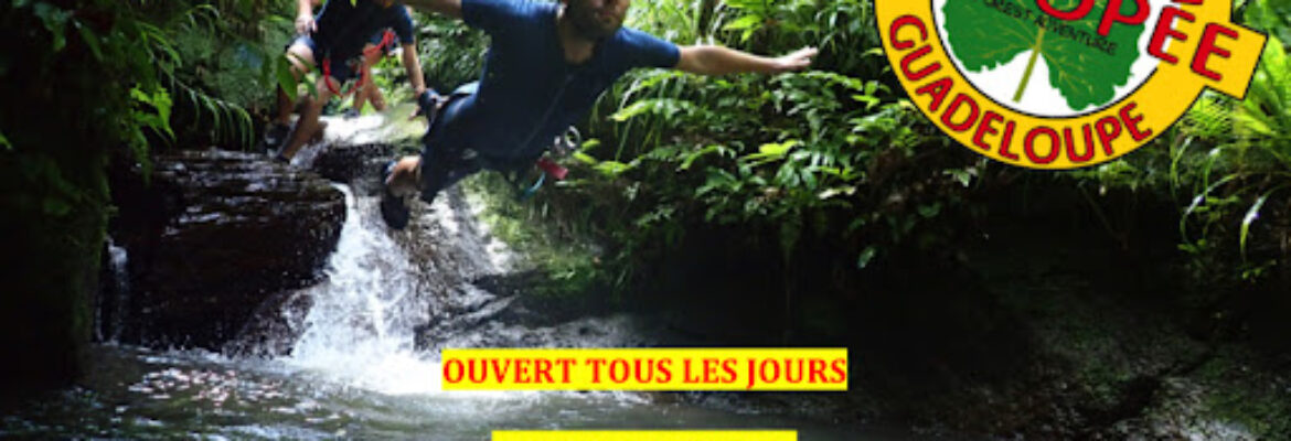 Canopy Forest Adventure
