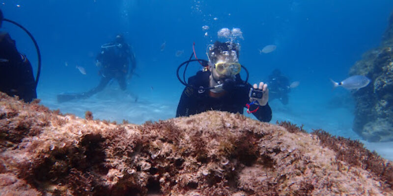 Acqua Life Dive Center S.L.