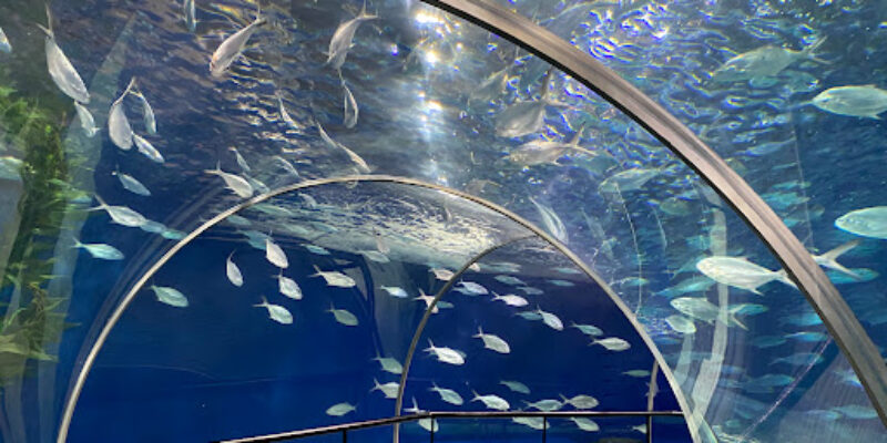 Ocean Dive Shanghai