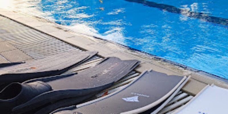 Stingrays Scuba