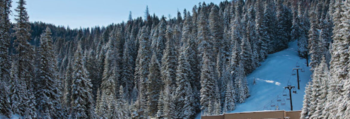 Bluewood