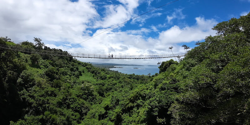 VANUATU JUNGLE – Zipline, Sky Bridge, Canyon Swing and Bungy Jump
