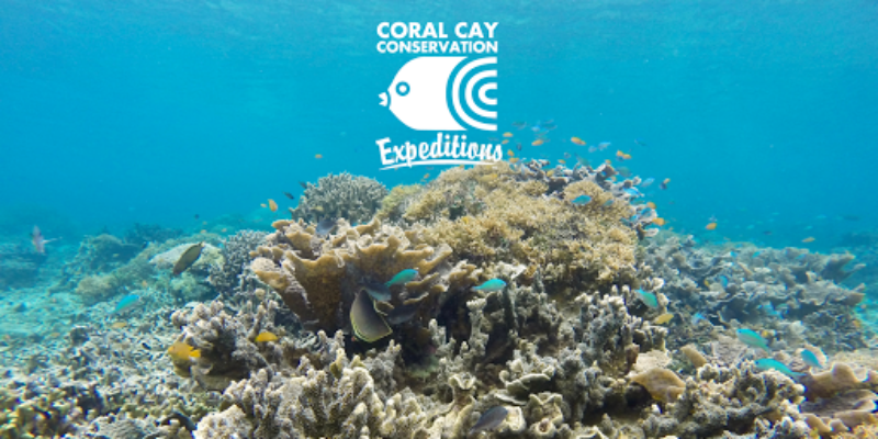 Coral Cay Conservation