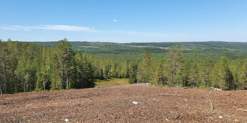 Agnäsbacken