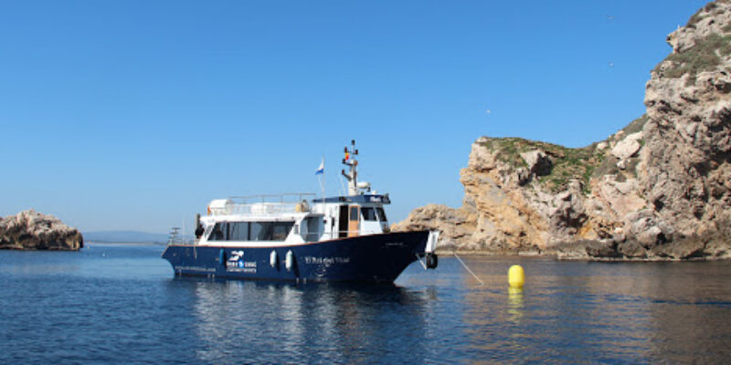 El Rei del Mar
