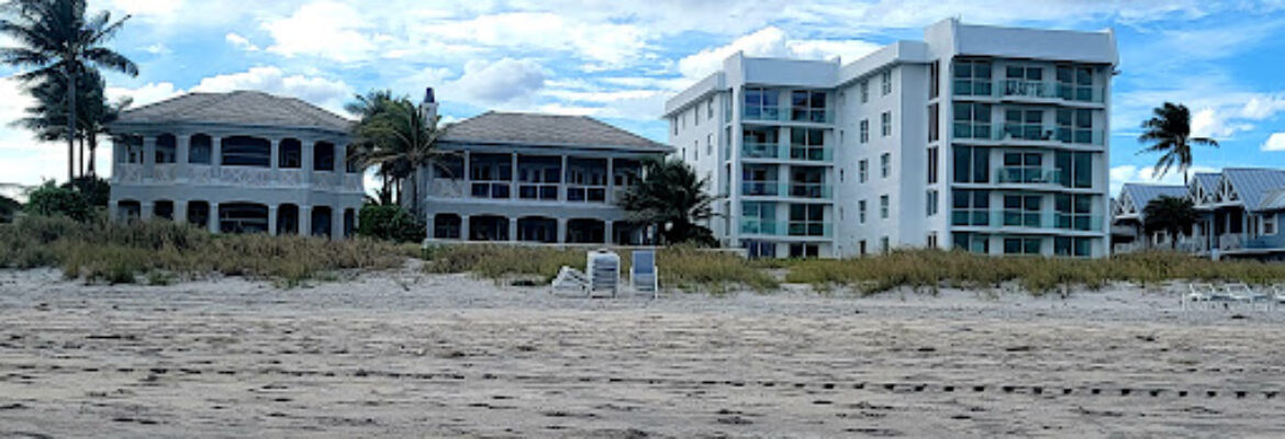 Waves Surf Academy