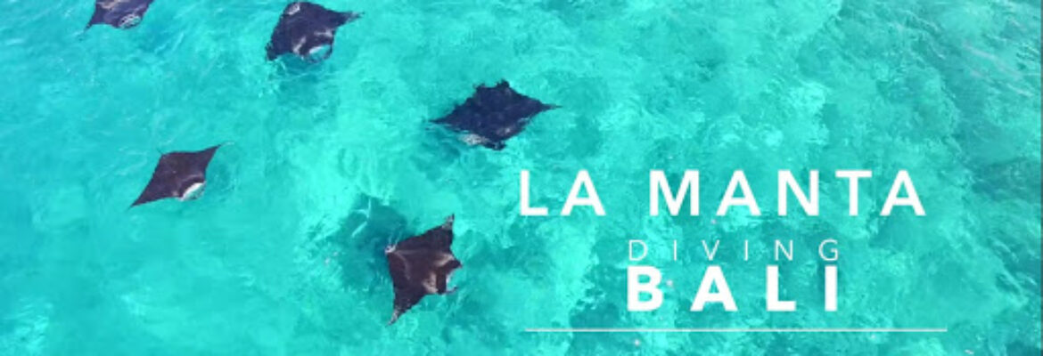 La Manta Diving Bali