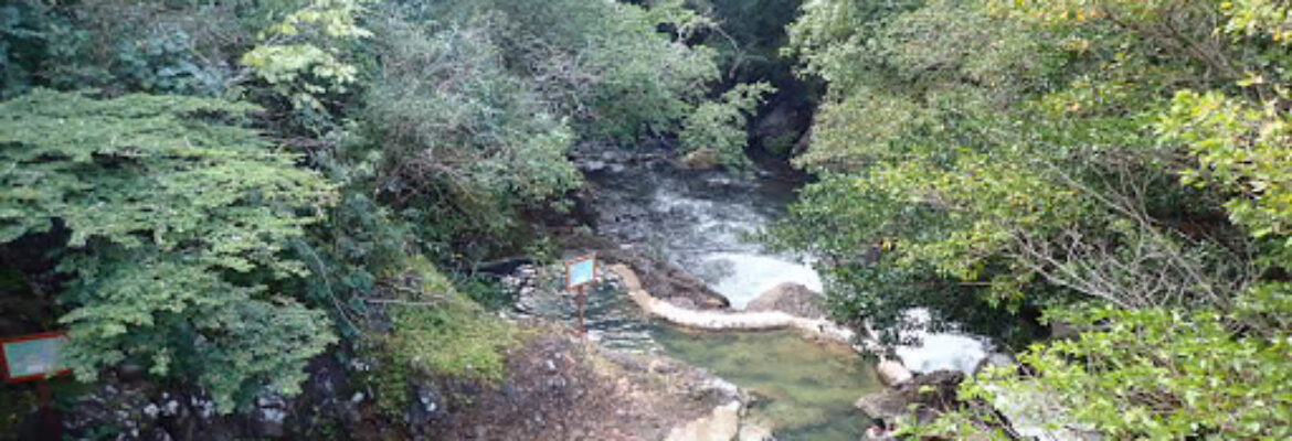 Hacienda Guachipelin Tour Center