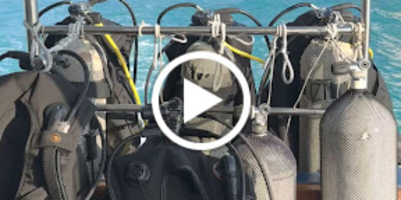 Dive Kingdom International