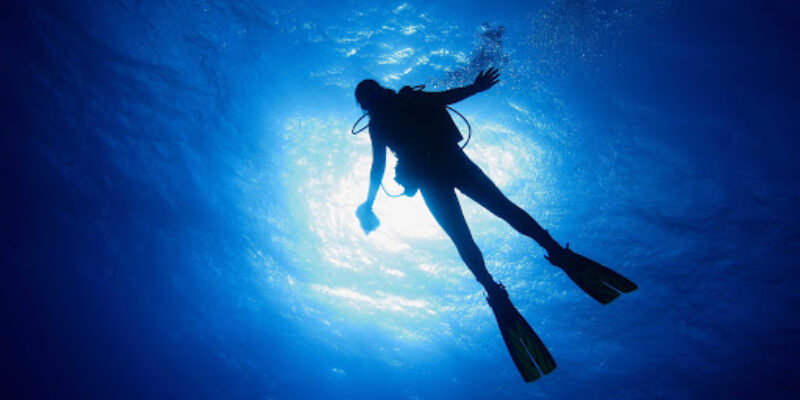 Absolut Diving Phuket Co. Ltd.