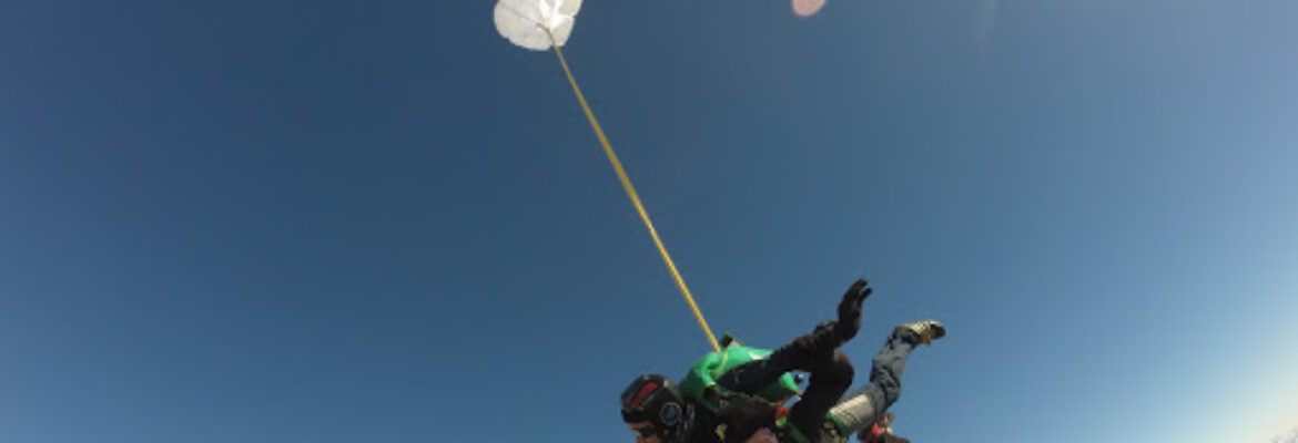 Fly”N friends