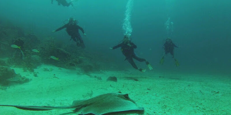 Undersea Tobago Ltd.