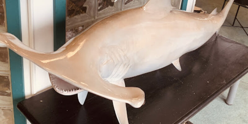 Underwater World, Inc.