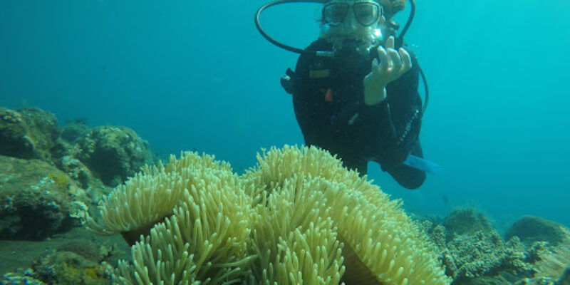 Bali Elite Scuba