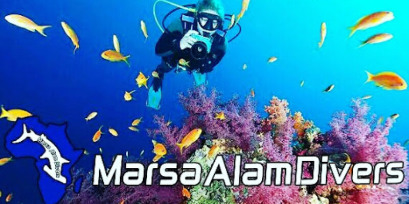 Wonderful Dive