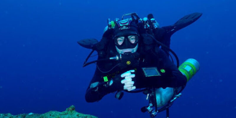 Marine Divers