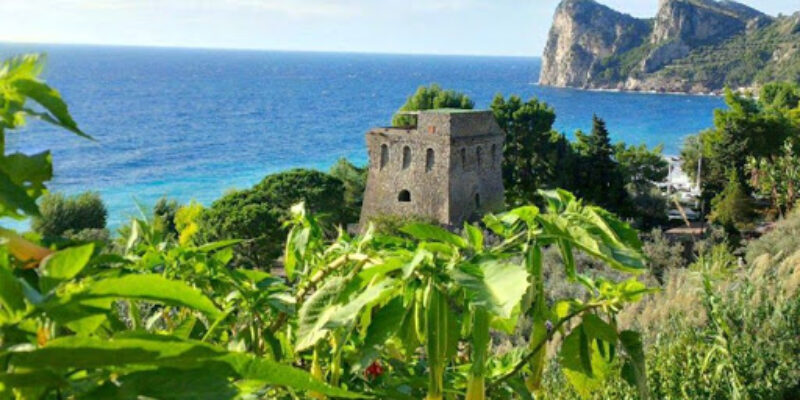 Diving & Resort Nettuno