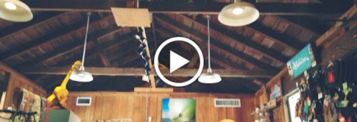 Surf District Surf Shop