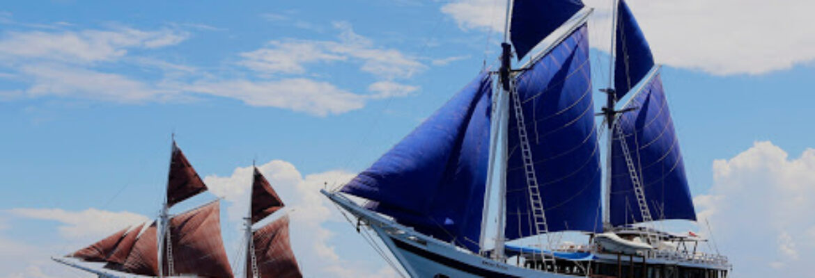 SeaTrek Sailing Adventures