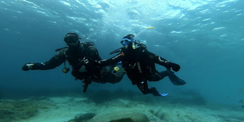 DiveBase Ltd