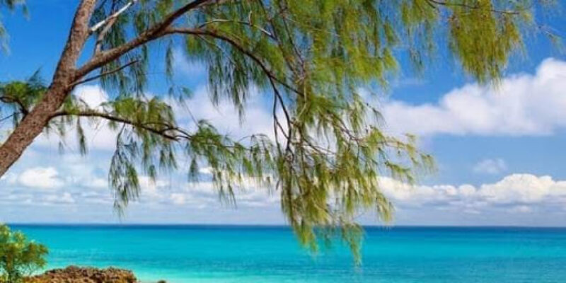 Vamizi Island