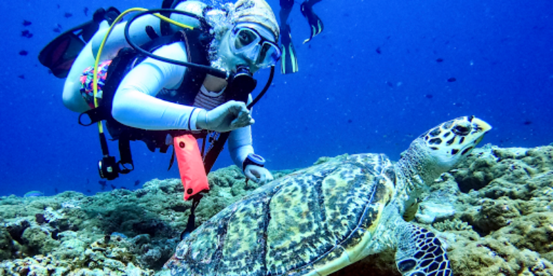 Aquanaut India