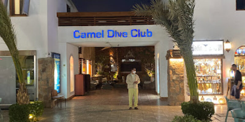 Camel Dive Club