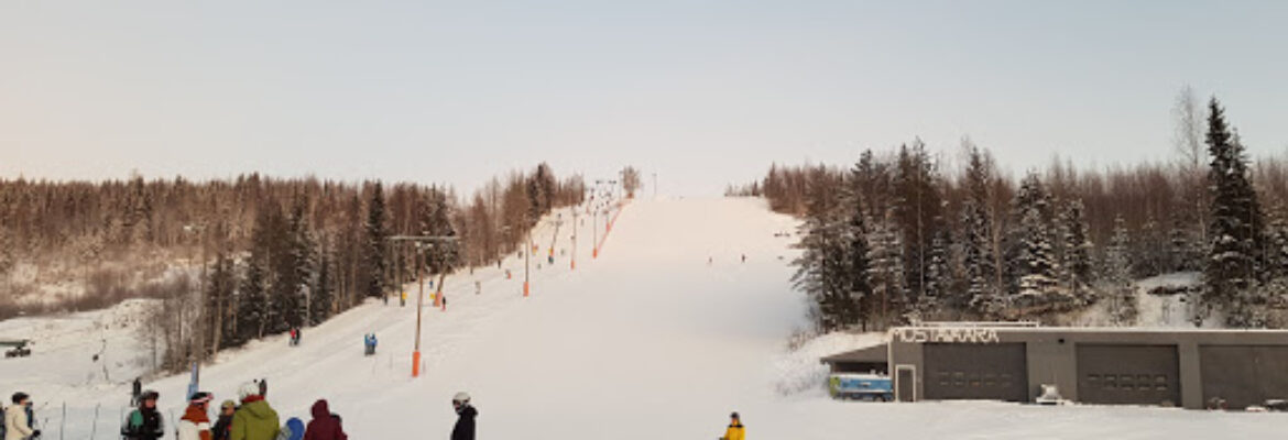 Mustavaara