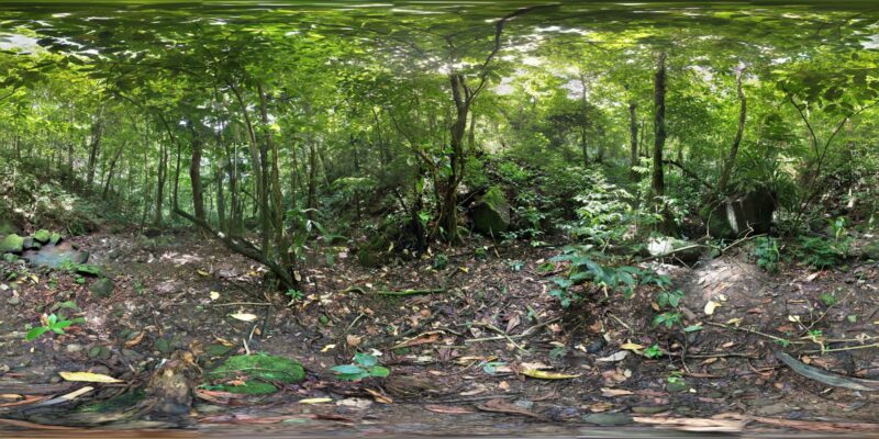 Extreme Dominica – Canyon Experience