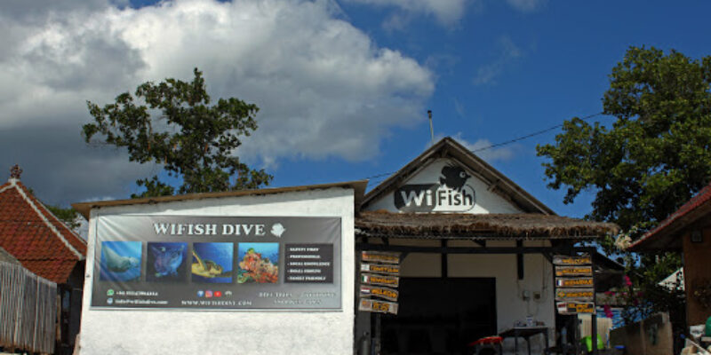 WiFish Dive