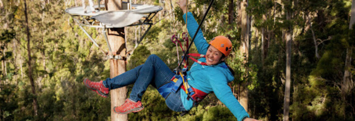 Treetops Adventure Hollybank
