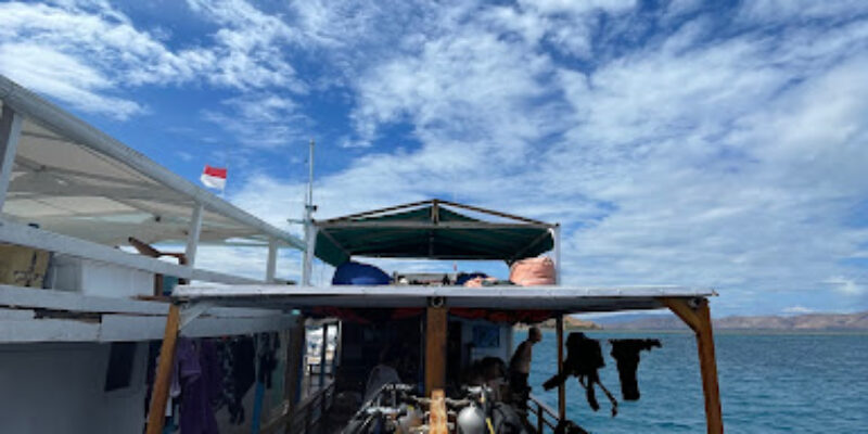 Bajo Dive Club