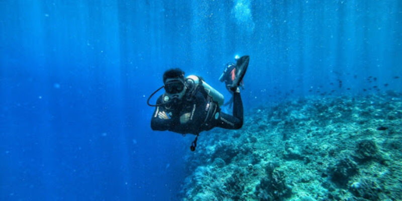 Odyssea Divers