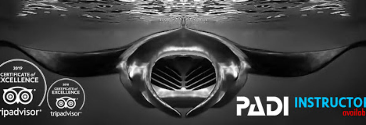 Manta Manta Diving