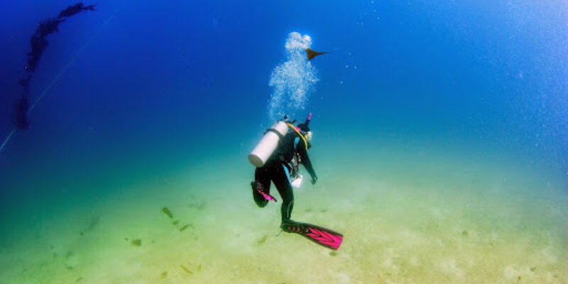 Deep Blue Scuba & Swim Center