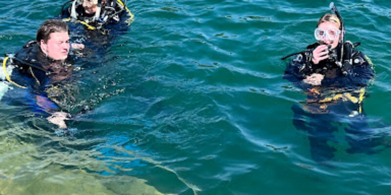 Aqualand Divers