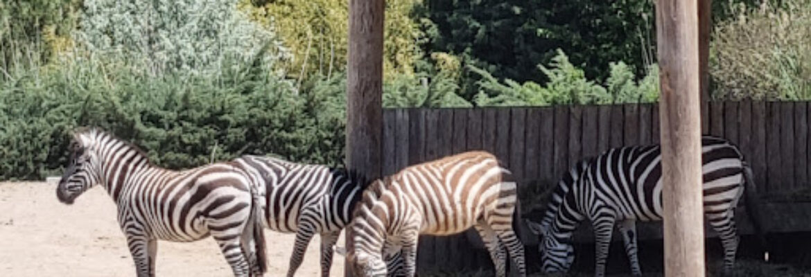 Izmir Wildlife Park