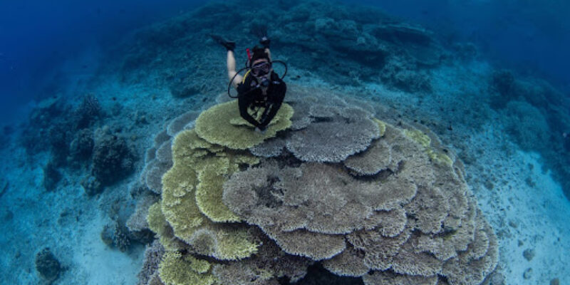 Manado Scuba