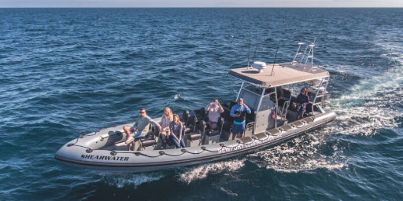 Sub Sea Adventures
