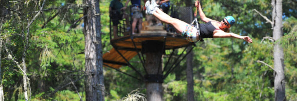 Adrena LINE Zipline Adventure Tours