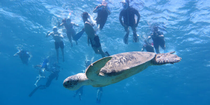 Blue Submarine Egypt – Gemma Resort