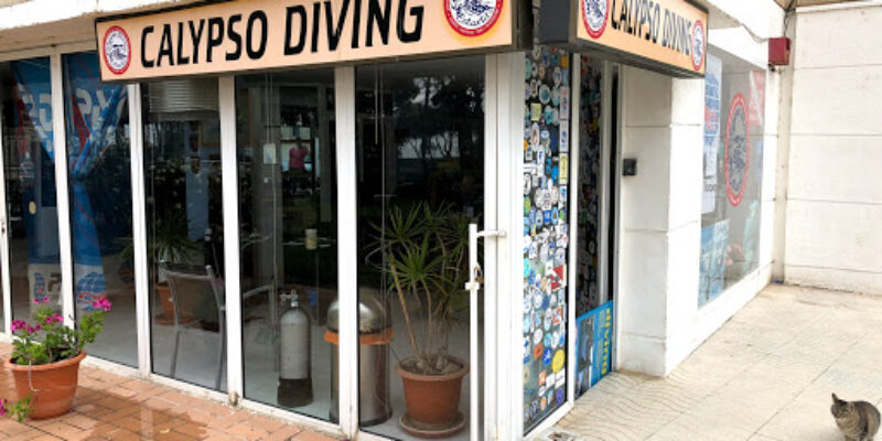 Calypso Diving International