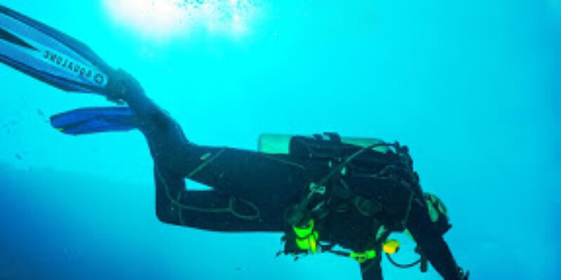 Neel Diving