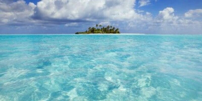 Ocean Paradise