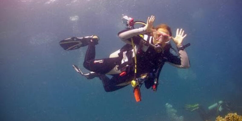 Dive and Travel Company