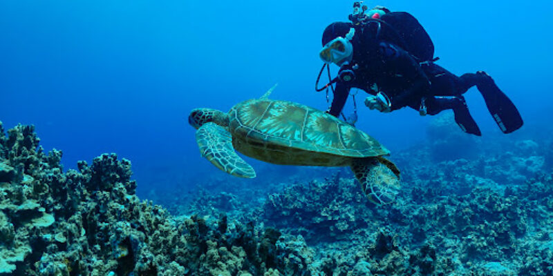 Saipan Diving World